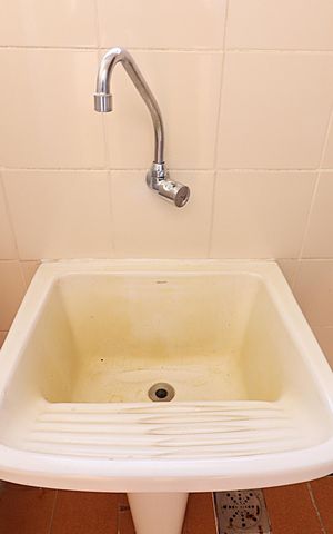 Apartamento para alugar com 183m², 3 quartos e 1 vagaÁrea de Serviço - Tanque