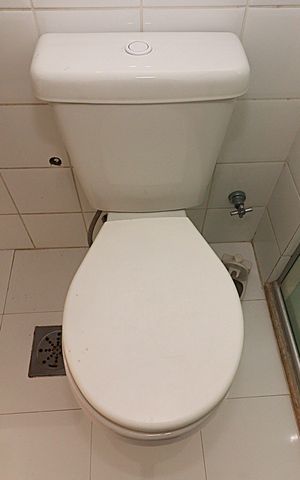 Apartamento para alugar com 183m², 3 quartos e 1 vagaBanheiro Social - Vaso