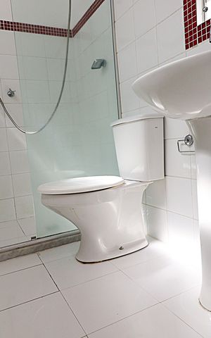 Apartamento para alugar com 183m², 3 quartos e 1 vagaBanheiro da Suíte 3