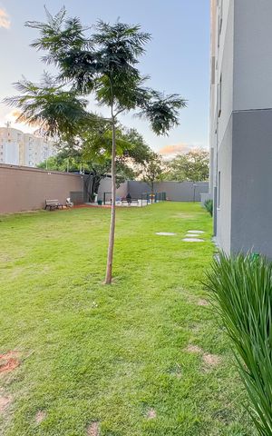 Apartamento para alugar com 35m², 2 quartos e sem vaga Apartamento para alugar com 35m², 2 quartos e sem vagaEspaço Pet