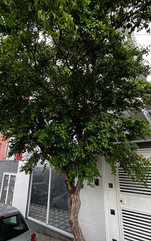Apartamento para alugar com 30m², 1 quarto e sem vagaFachada