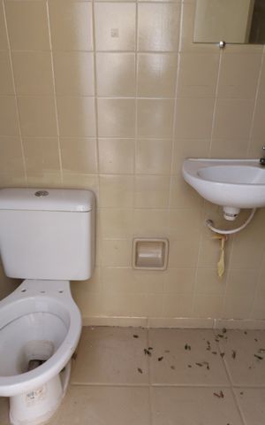 Casa para alugar com 276m², 3 quartos e 4 vagasBanheiro de serviço