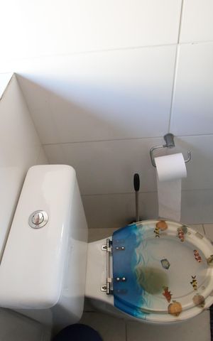 Casa à venda com 219m², 4 quartos e 2 vagasBanheiro da Suíte 4