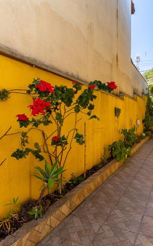 Casa à venda com 250m², 3 quartos e 3 vagas Casa à venda com 250m², 3 quartos e 3 vagasQuintal