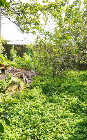 Casa para alugar com 186m², 2 quartos e 3 vagasQuintal