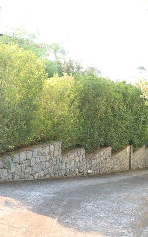 Casa de condomínio para alugar com 458m², 4 quartos e 4 vagasÁrea comum