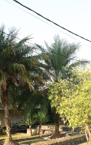 Casa de condomínio para alugar com 458m², 4 quartos e 4 vagasÁrea comum