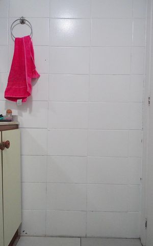 Apartamento à venda com 50m², 1 quarto e sem vagaBanheiro