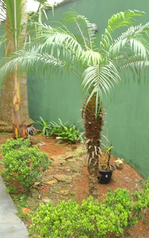 Casa à venda com 210m², 3 quartos e 2 vagasQuintal