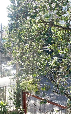 Apartamento à venda com 59m², 2 quartos e 1 vagaVista do Quarto 2