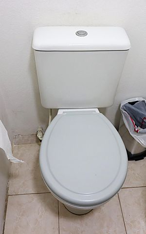 Apartamento à venda com 50m², 2 quartos e 2 vagasBanheiro