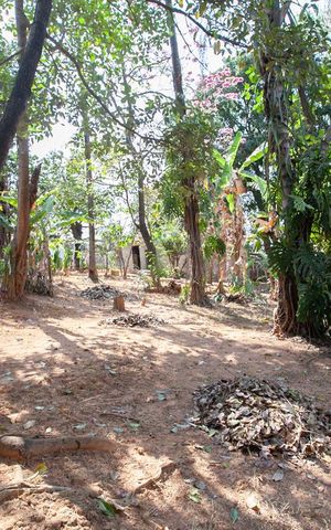 Casa à venda com 243m², 2 quartos e 6 vagas Casa à venda com 243m², 2 quartos e 6 vagasQuintal