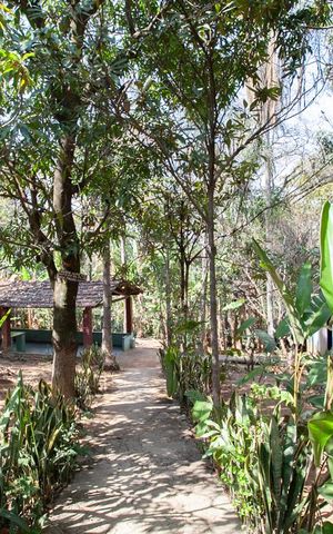 Casa à venda com 243m², 2 quartos e 6 vagas Casa à venda com 243m², 2 quartos e 6 vagasQuintal