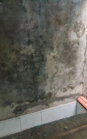 Casa à venda com 109m², 3 quartos e 1 vaga Casa à venda com 109m², 3 quartos e 1 vagaVista do Quarto 1