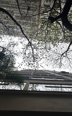 Apartamento à venda com 87m², 2 quartos e 1 vaga Apartamento à venda com 87m², 2 quartos e 1 vagaFachada