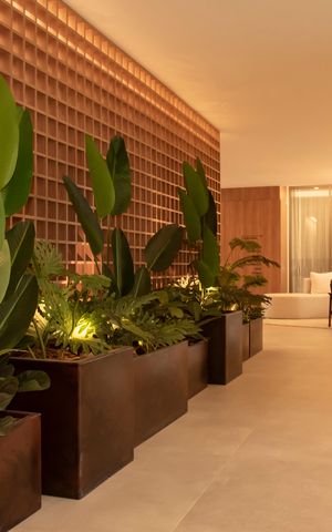 Apartamento para alugar com 40m², 1 quarto e sem vagaHall social