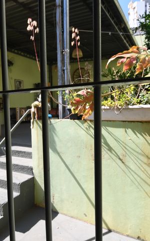 Casa à venda com 220m², 3 quartos e 4 vagasQuarto 2 - Vista