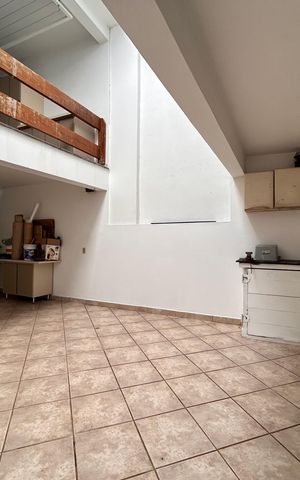 Casa para alugar com 350m², 5 quartos e 2 vagasQuintal