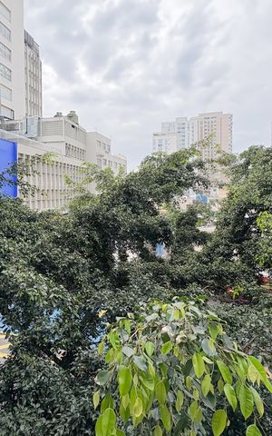 Studio para alugar com 23m², 1 quarto e sem vaga Studio para alugar com 23m², 1 quarto e sem vagaVista da Varanda