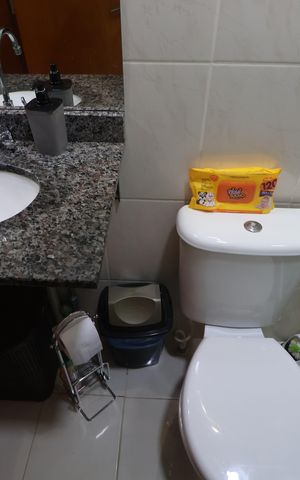 Apartamento à venda com 53m², 2 quartos e 1 vagaBanheiro