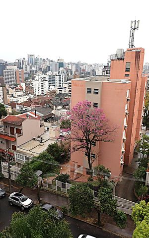 Apartamento à venda com 200m², 4 quartos e 3 vagasVista da Sala