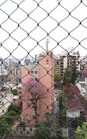 Apartamento à venda com 200m², 4 quartos e 3 vagasVista da Suíte 1