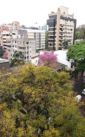 Apartamento à venda com 200m², 4 quartos e 3 vagasVista da Sala