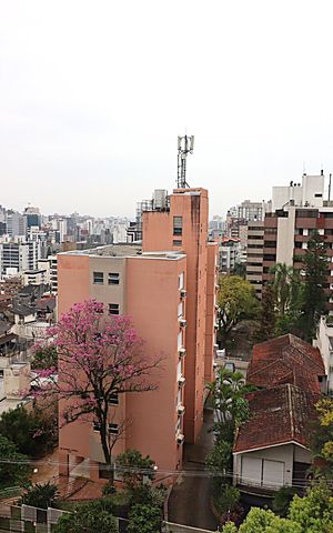 Apartamento à venda com 200m², 4 quartos e 3 vagasVista da Suíte 1