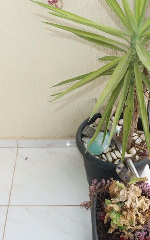 Casa para alugar com 125m², 2 quartos e 2 vagasVaranda da Quarto 2