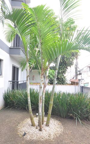 Apartamento à venda com 41m², 1 quarto e sem vagaÁrea comum 