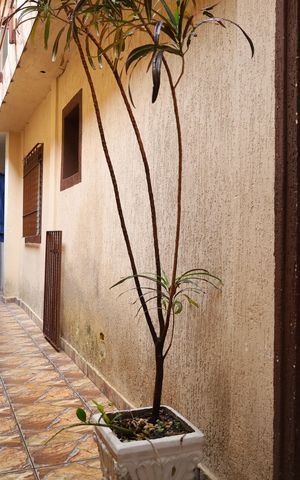 Casa para alugar com 40m², 1 quarto e sem vagaCorredor