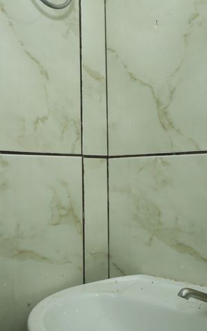 Casa para alugar com 40m², 1 quarto e sem vagaBanheiro
