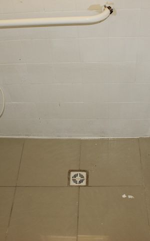 Casa à venda com 350m², 5 quartos e 3 vagasEdícula - Banheiro