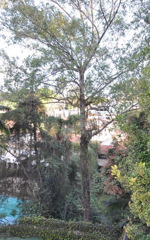 Casa à venda com 370m², 5 quartos e 6 vagasVista da Varanda da Suíte 3