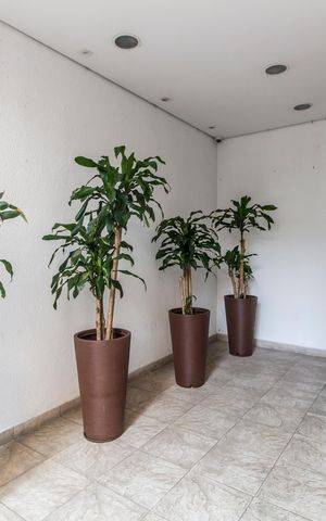Apartamento para alugar com 74m², 2 quartos e 1 vaga Apartamento para alugar com 74m², 2 quartos e 1 vagaHall de entrada