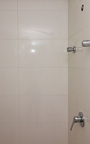 Apartamento à venda com 82m², 2 quartos e 1 vagaBanheiro da Suíte 2