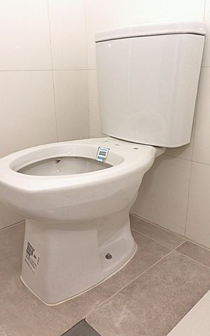 Apartamento à venda com 82m², 2 quartos e 1 vagaBanheiro da Suíte 2