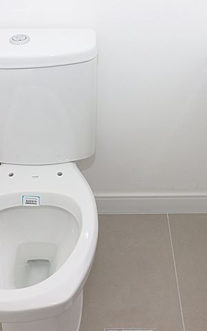 Apartamento à venda com 82m², 2 quartos e 1 vagaLavabo