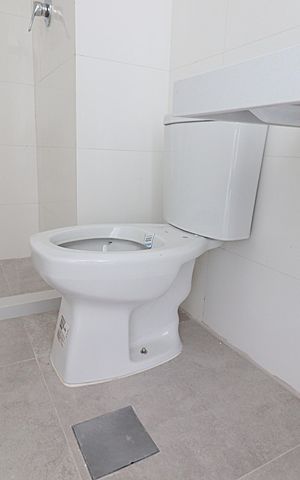 Apartamento à venda com 58m², 2 quartos e 1 vagaBanheiro da Suíte 1