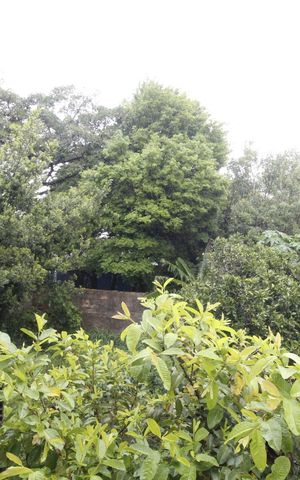 Casa à venda com 100m², 3 quartos e 2 vagasSacada do Quarto 1