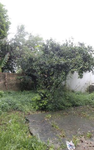 Casa à venda com 100m², 3 quartos e 2 vagasQuintal
