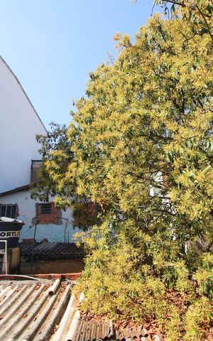 Casa para alugar com 60m², 2 quartos e sem vagaVista do Quarto 3