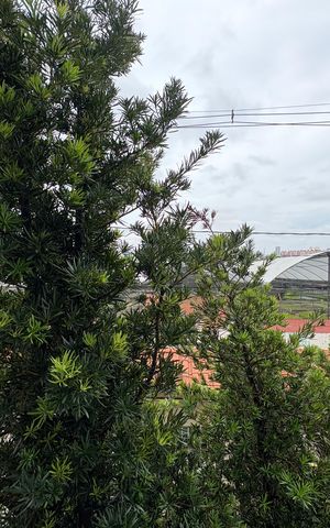 Casa à venda com 424m², 3 quartos e 6 vagas Casa à venda com 424m², 3 quartos e 6 vagasVista da sala
