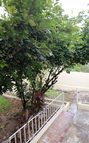Casa à venda com 361m², 5 quartos e 2 vagasQuintal Fundos