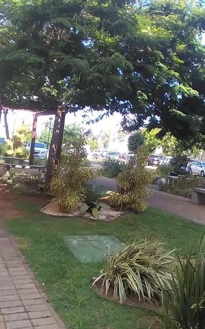 Apartamento para alugar com 60m², 2 quartos e 1 vaga Apartamento para alugar com 60m², 2 quartos e 1 vagaÁrea comum