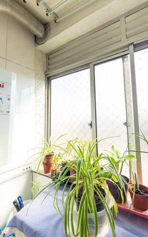 Apartamento à venda com 52m², 2 quartos e 1 vagaÁrea de Serviço
