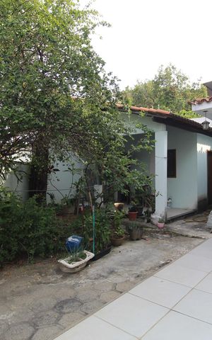Casa para alugar com 599m², 6 quartos e 6 vagasQuintal dos fundos