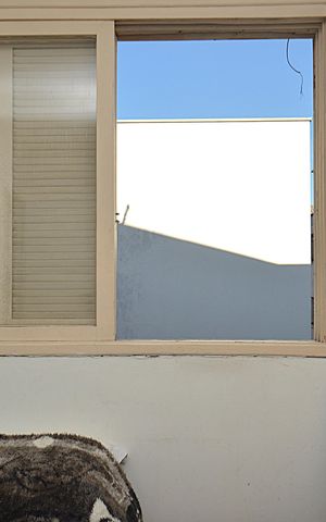 Apartamento para alugar com 64m², 2 quartos e sem vagaQuarto 2