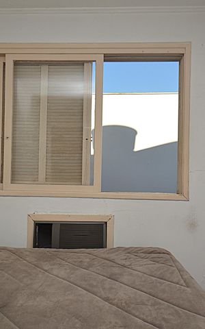 Apartamento para alugar com 64m², 2 quartos e sem vagaJanela do Quarto 1