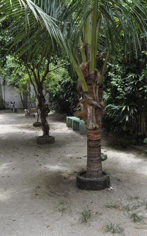 Apartamento à venda com 46m², 2 quartos e 1 vagaÁrea comum